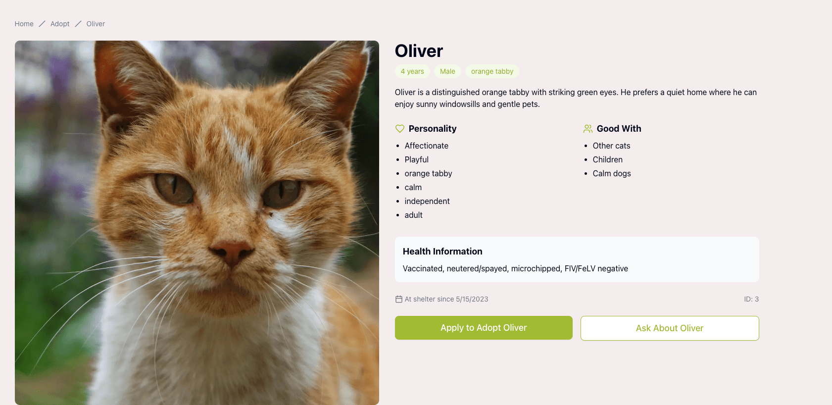 Cat rescue site — adopt, donate, and contact sections